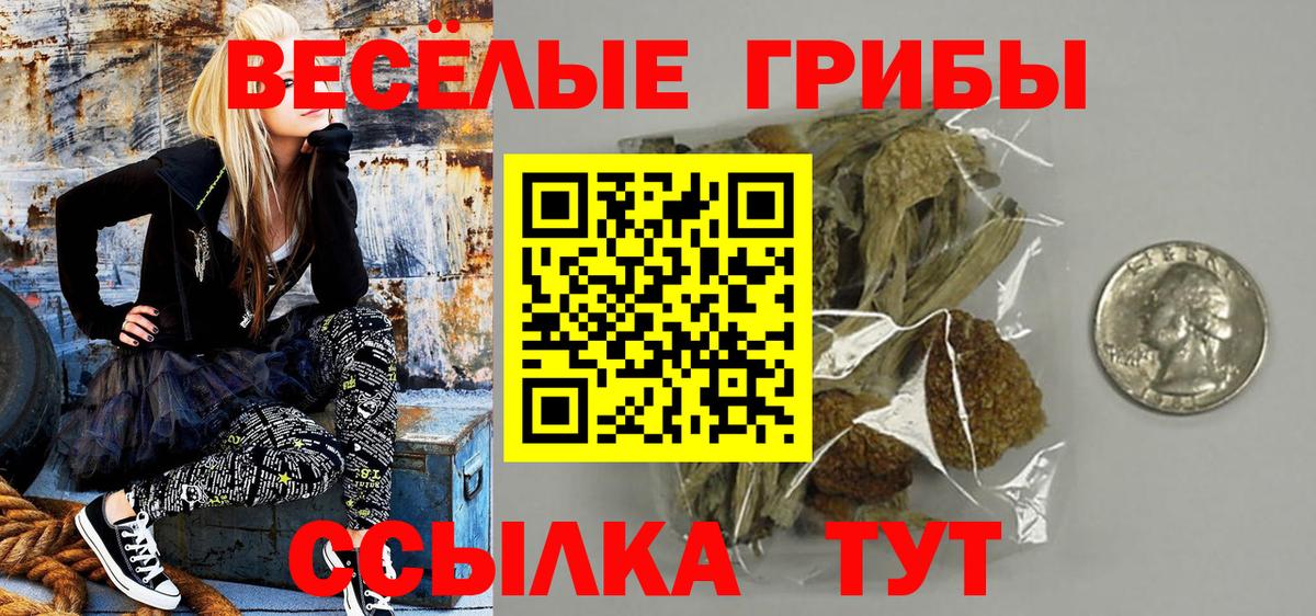 Псилоцибиновые грибы MAGIC MUSHROOMS  наркота  Междуреченск  Псилоцибиновые грибы мицелий  Вход с VPN 